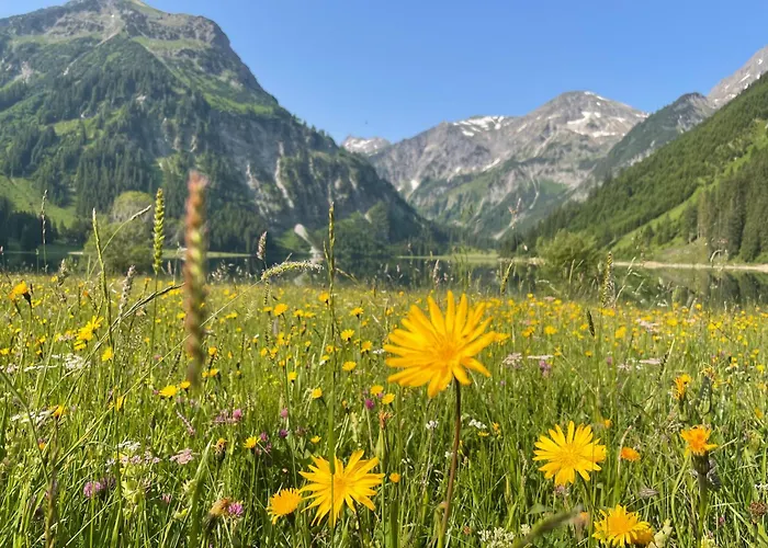 Alpenhotel Sonneck - Mit Bergbahnticket Otel 3*