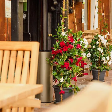 Alpenhotel Sonneck Bad Hindelang