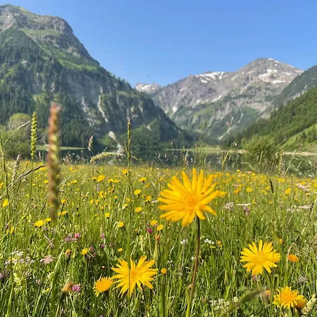 Alpenhotel Sonneck - Mit Bergbahnticket מלון 3*